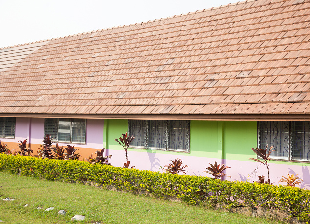 Storm Resistant Roofing